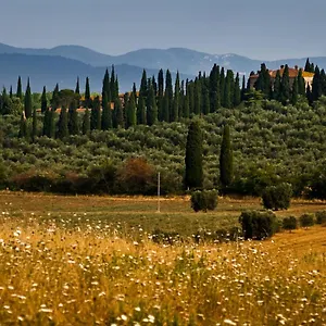 Gospodarstwo wiejskie Tenuta Di Poggio Cavallo 